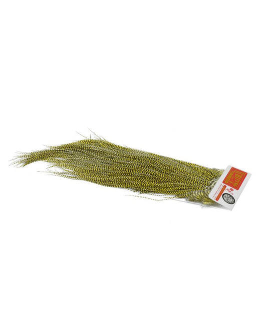 02d909689aaad3bfc2863d76c5ab54a422f9c193_A_264789.jpg
