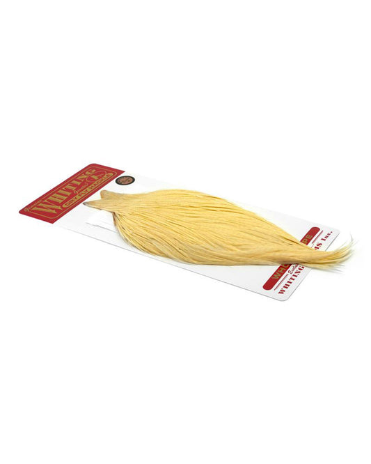 265d0247a0556caf3f9f9d77dcbb64bfed64bd11_A_265433.jpg