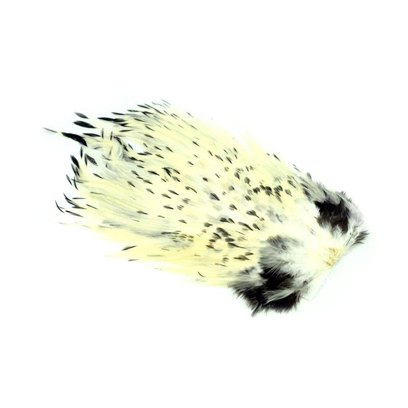 3425cabf8f316739afe02d3ca81d5549fcab197d_A_263146.jpg