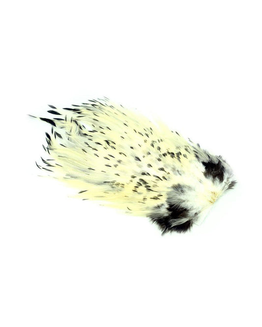 3425cabf8f316739afe02d3ca81d5549fcab197d_A_263146.jpg