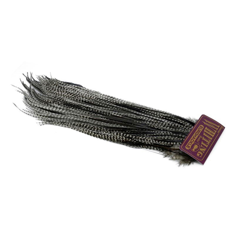 4b800562e11067294de296e2527060ae504c2f64_A_262980_6_7
