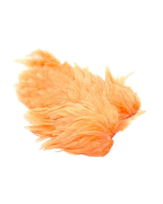 587804567f3b3d348836f8add37c65feeff35c8e_A_264465.jpg
