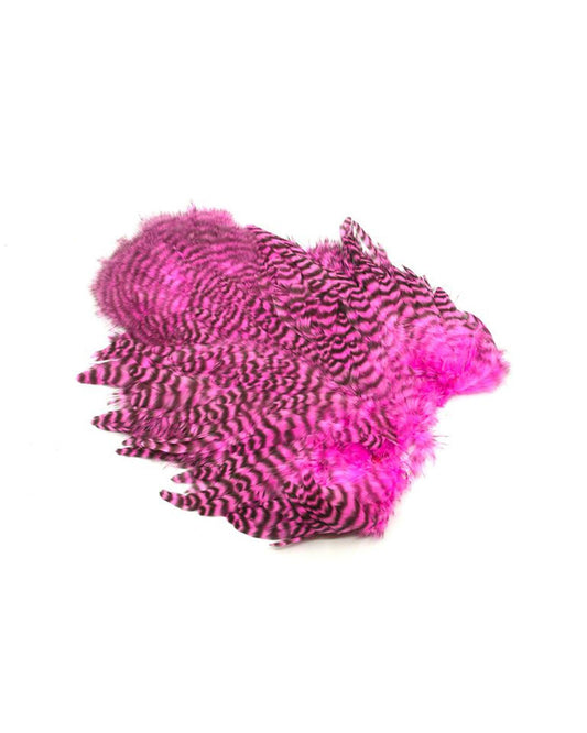 6171e086f365b9c4add7b7ee3839b33a7b0d2c7f_A_264477.jpg