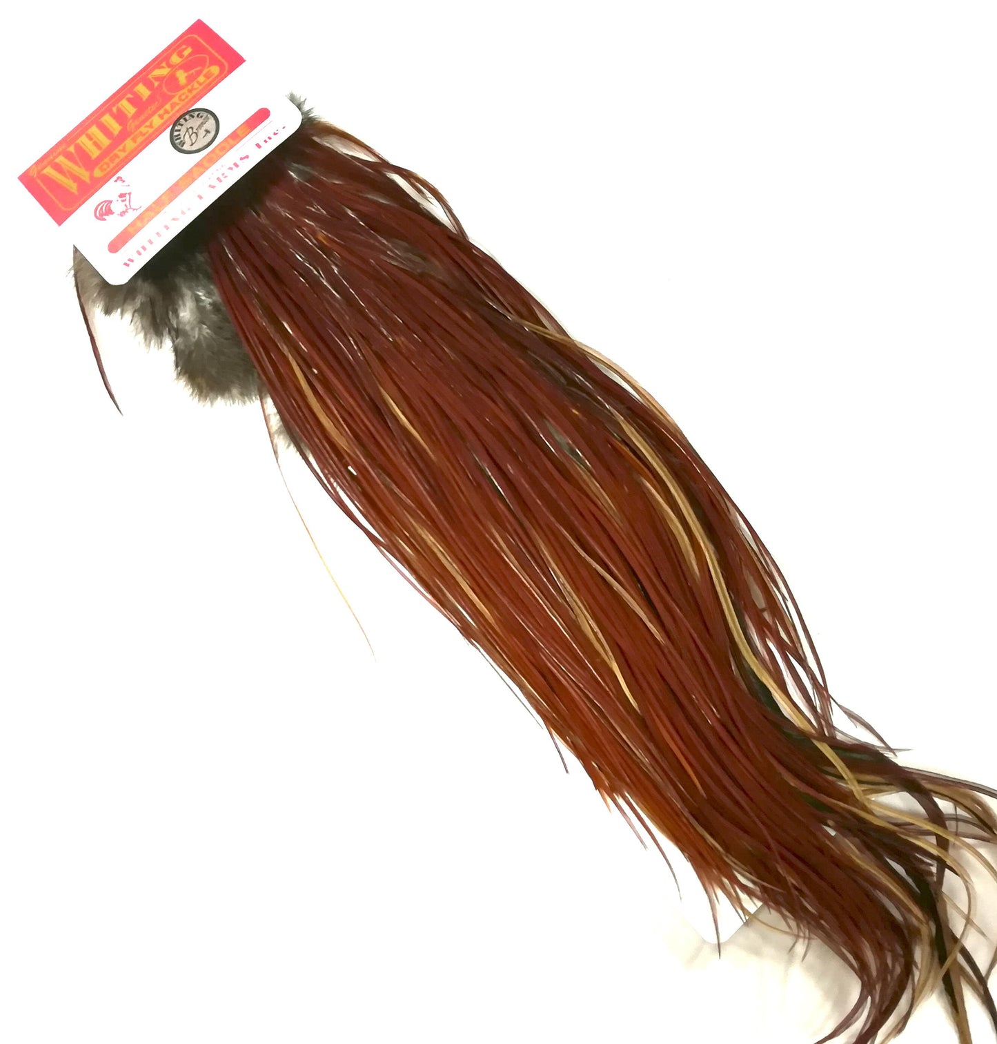 7215a50f24c22c302c6b11c1cb0d8f98ae19e366_A_39930