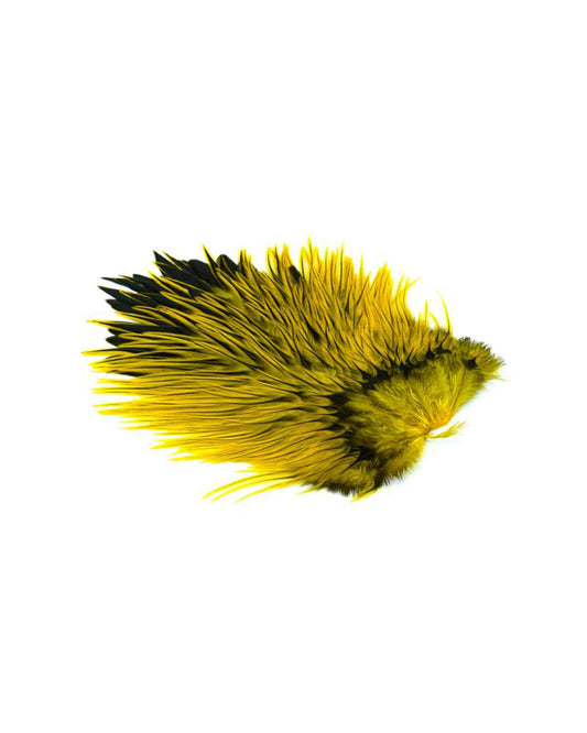 7d6cda7df7890e87854b3ba4508e7bfe58f270a7_A_263028.jpg