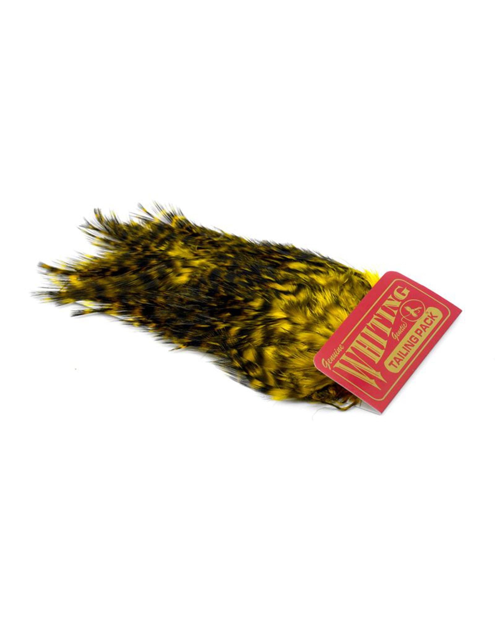 9e150be309fa387040ccccbc8161907fb1199ef6_A_263216.jpg