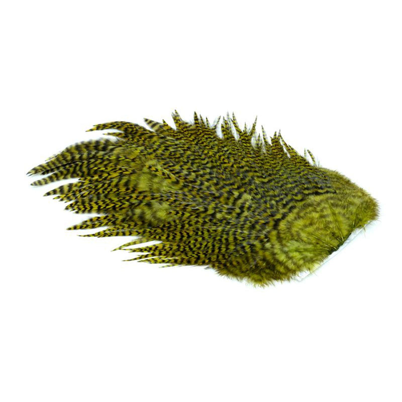 aa4f4d7b382b917e9229d6d47769711f0a550b03_A_263140.jpg