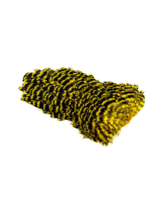 ce835c975b6f01e00018fbd25fd0849143a6da69_A_263062.jpg