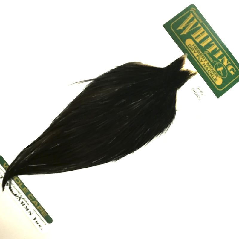 e6d7a758d95b5e1633c6a3f835ae00e8ccc6ad43_A_54219.jpg