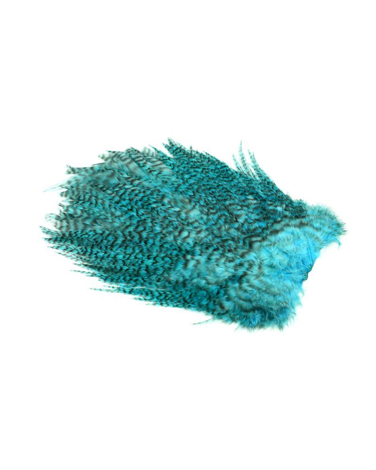 e9c517505d65ac5369515535468830c47541351a_A_263132_1_6