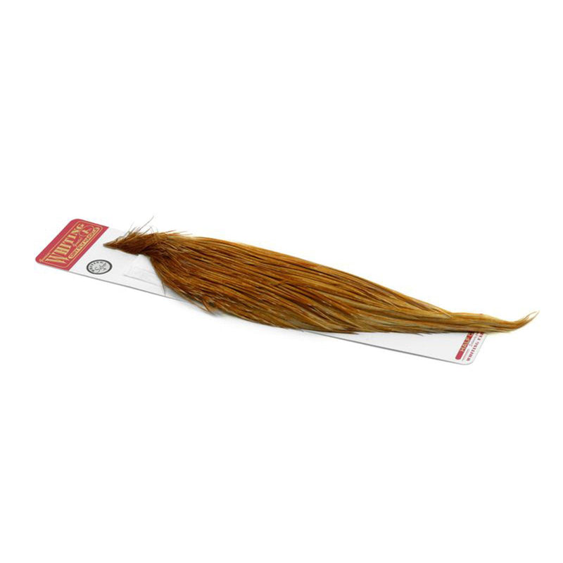 f06ecca8dd2a7ca77cec697624128d35d151a393_A_265056