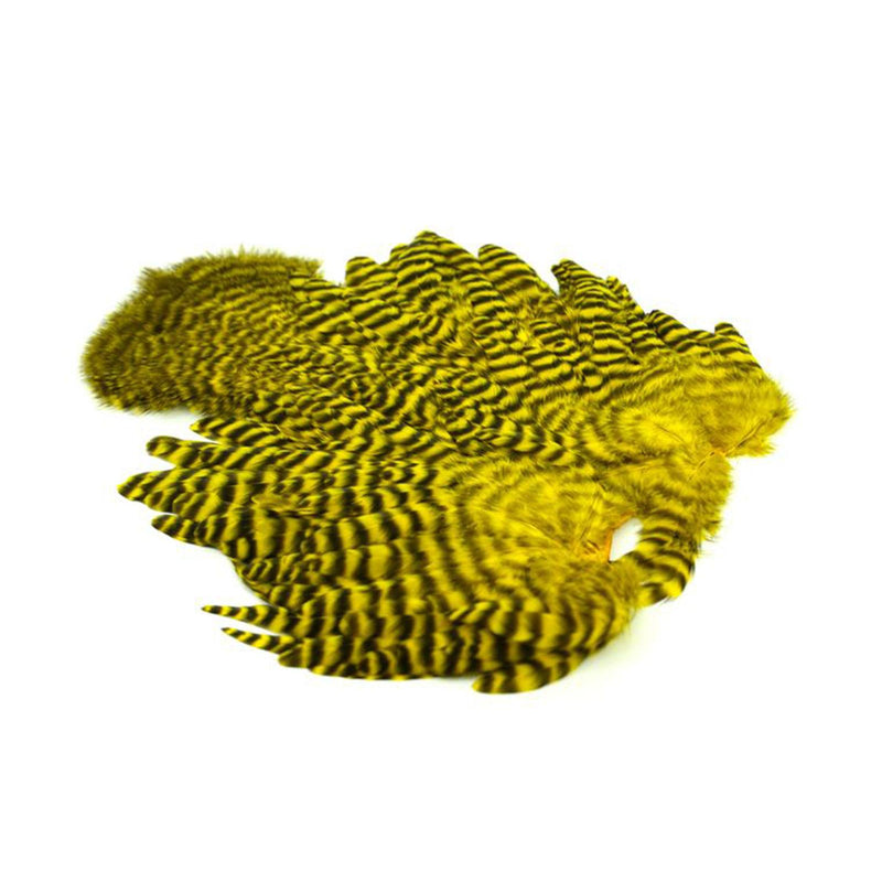 f0a825242c889d5f961aacb687a6fcd74b6b2df9_A_264475