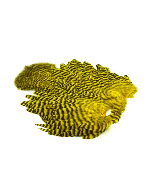 f0a825242c889d5f961aacb687a6fcd74b6b2df9_A_264475.jpg